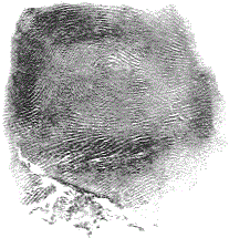 DOE, Jane 00-06494-GA