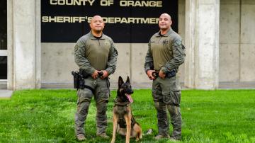 Orange county sheriff k9 hot sale unit