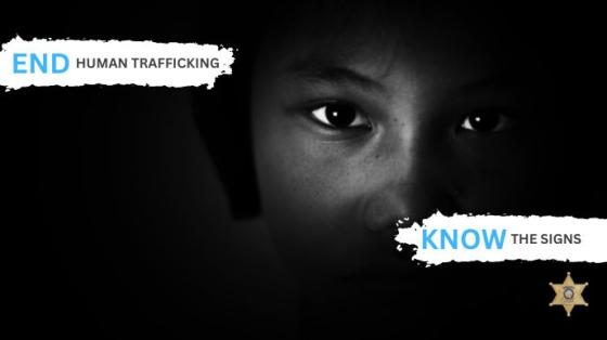 Human Trafficking image