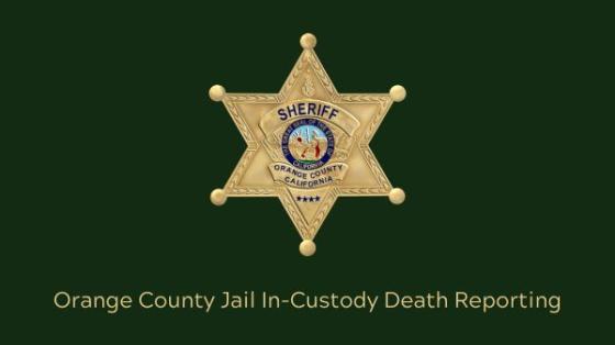 In-Custody Death Reports image